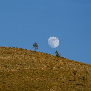 Превью обои луна, холм, деревья, полнолуние