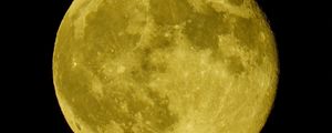 Превью обои луна, кратеры, лес, деревья, полнолуние