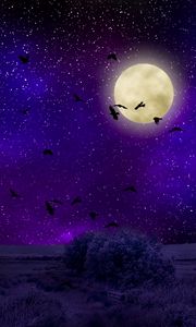 Превью обои луна, лунный свет, птицы, звездное небо, ночь, фотошоп