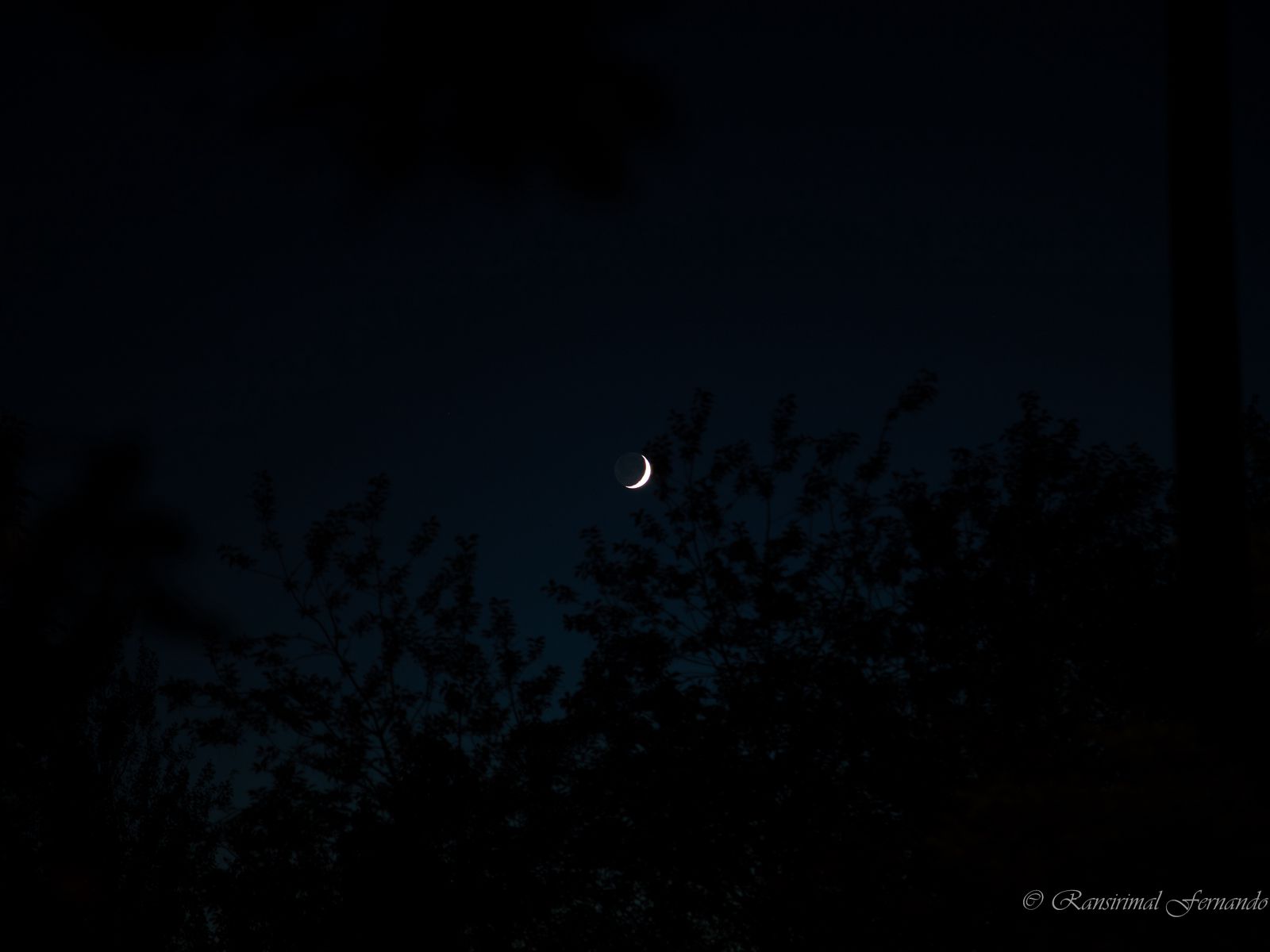 Луна месяц предложение. Луна и месяц Никитин. Растущий месяц над деревьями. 1280 × 1024 Луна. Месяц из дерева.