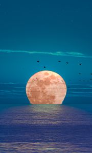 Превью обои луна, море, ночь, птицы