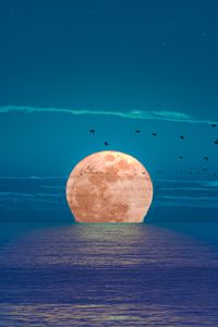 Превью обои луна, море, ночь, птицы