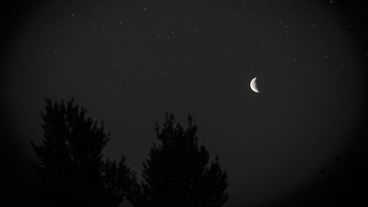 Обои луна, ночь, небо, дерево, звезды, темный