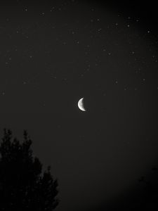 Превью обои луна, ночь, небо, дерево, звезды, темный