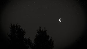 Превью обои луна, ночь, небо, дерево, звезды, темный