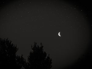Превью обои луна, ночь, небо, дерево, звезды, темный