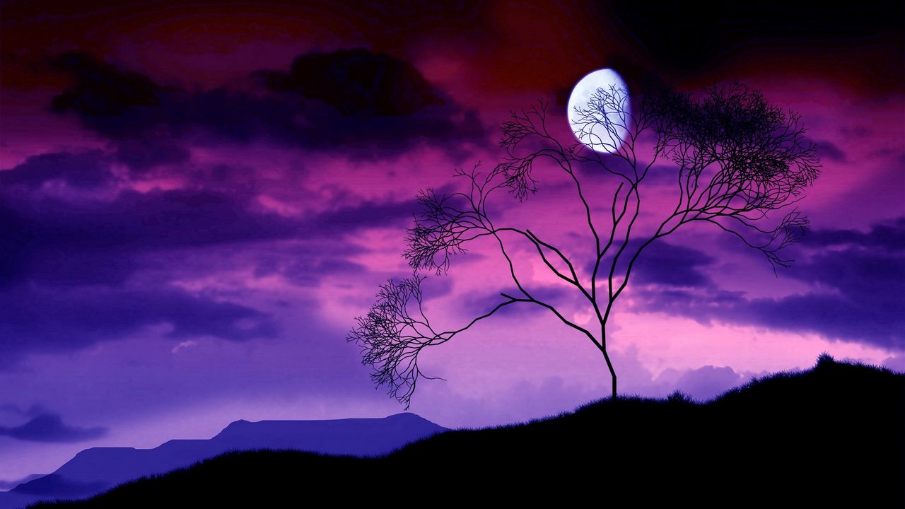 Обои луна, ночь, небо, лиловое, дерево, куст, ветви, очертания