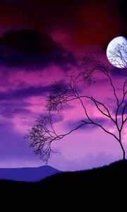 Превью обои луна, ночь, небо, лиловое, дерево, куст, ветви, очертания