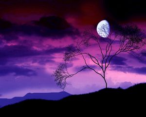 Превью обои луна, ночь, небо, лиловое, дерево, куст, ветви, очертания