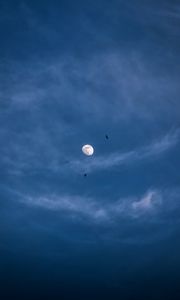Превью обои луна, ночь, облака, птицы