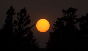 Превью обои луна, ночь, полнолуние, деревья, темный