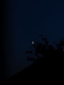 Превью обои луна, ночь, ветки, склон