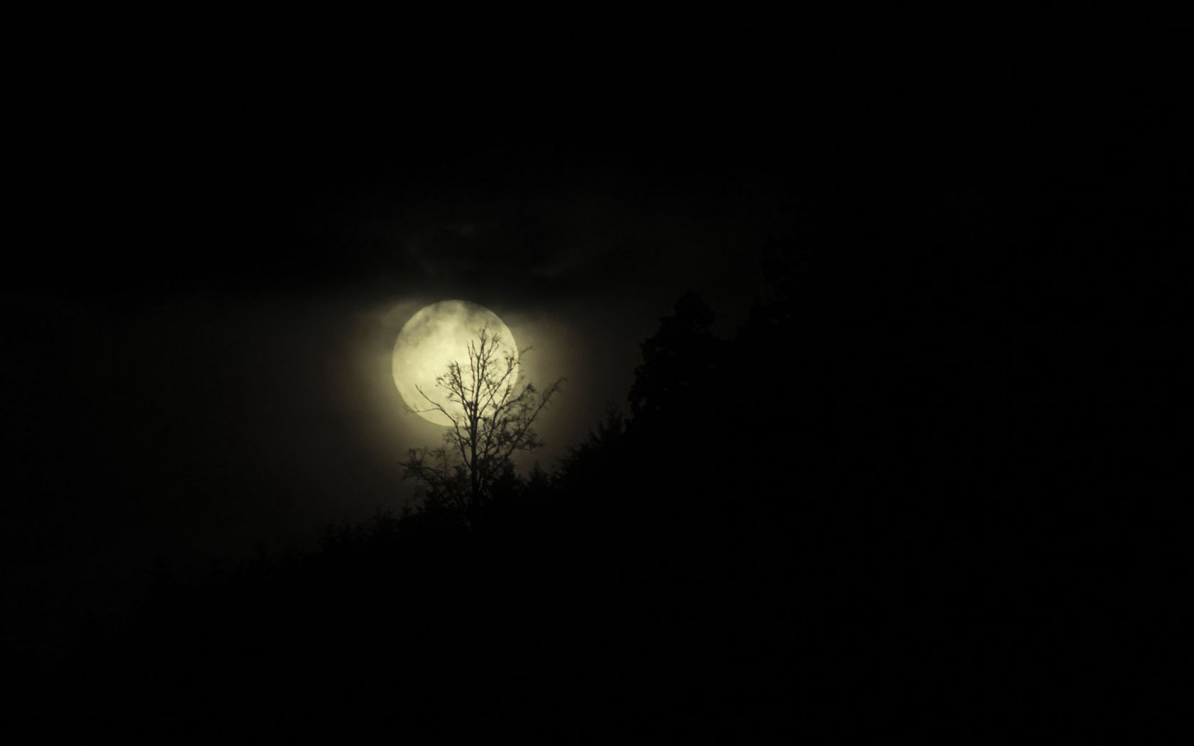 Черная ночь mp3. Ночь чёрная Южная. Dark Moon Wallpaper.