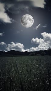 Превью обои луна, облака, трава, поле, полнолуние, фотошоп