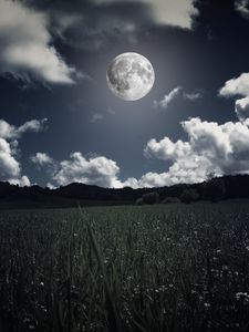 Превью обои луна, облака, трава, поле, полнолуние, фотошоп