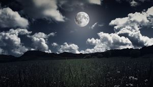 Превью обои луна, облака, трава, поле, полнолуние, фотошоп