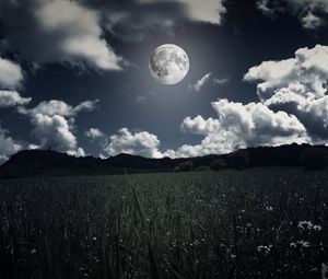 Превью обои луна, облака, трава, поле, полнолуние, фотошоп