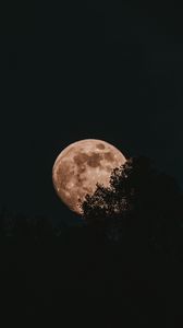 Превью обои луна, полнолуние, деревья, ночь