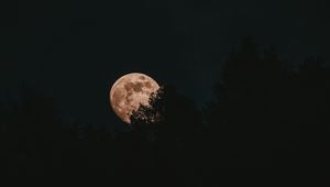 Превью обои луна, полнолуние, деревья, ночь