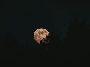 Превью обои луна, полнолуние, деревья, ночь