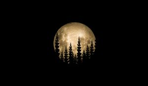 Превью обои луна, полнолуние, деревья, силуэт, черный