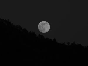 Превью обои луна, полнолуние, деревья, чб