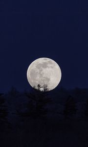 Превью обои луна, полнолуние, ночь, природа, темный