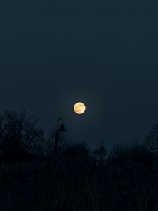 Превью обои луна, полнолуние, звездное небо, ночь, темнота, силуэты