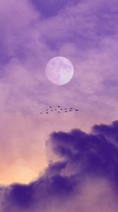 Превью обои луна, птицы, небо, облака