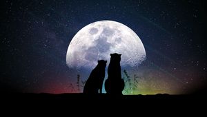 Превью обои луна, силуэты, звездное небо, животные