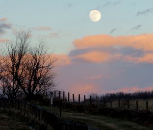 Превью обои луна, сумерки, природа, забор, облака