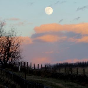 Превью обои луна, сумерки, природа, забор, облака