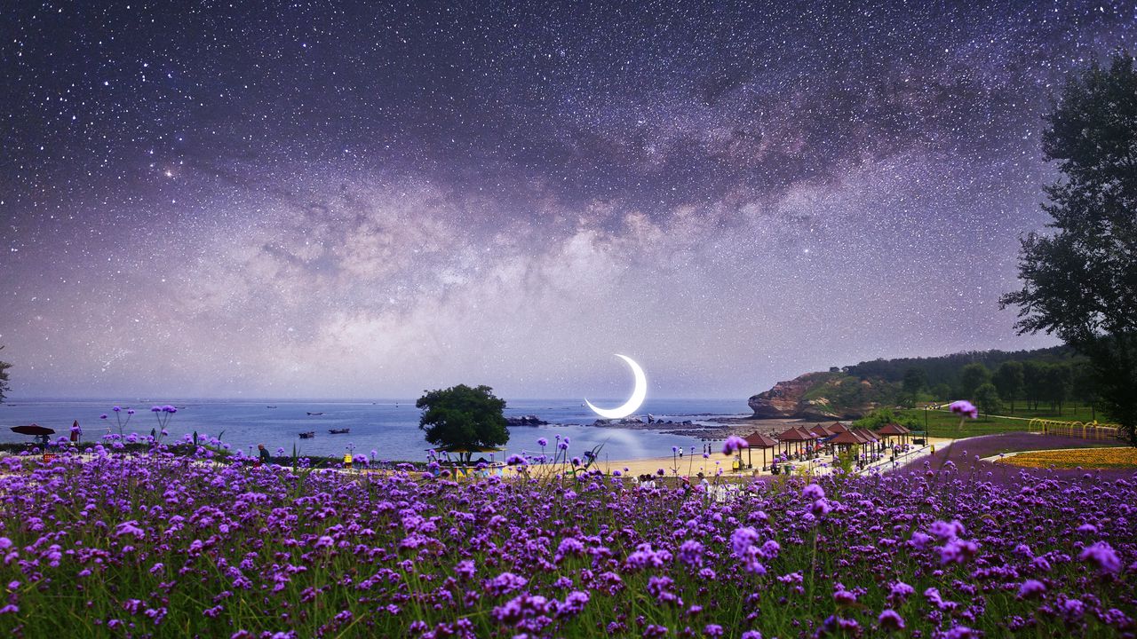 Обои луна, звездное небо, фотошоп, пляж, млечный путь, цветы