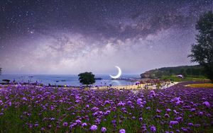 Превью обои луна, звездное небо, фотошоп, пляж, млечный путь, цветы