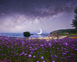 Превью обои луна, звездное небо, фотошоп, пляж, млечный путь, цветы