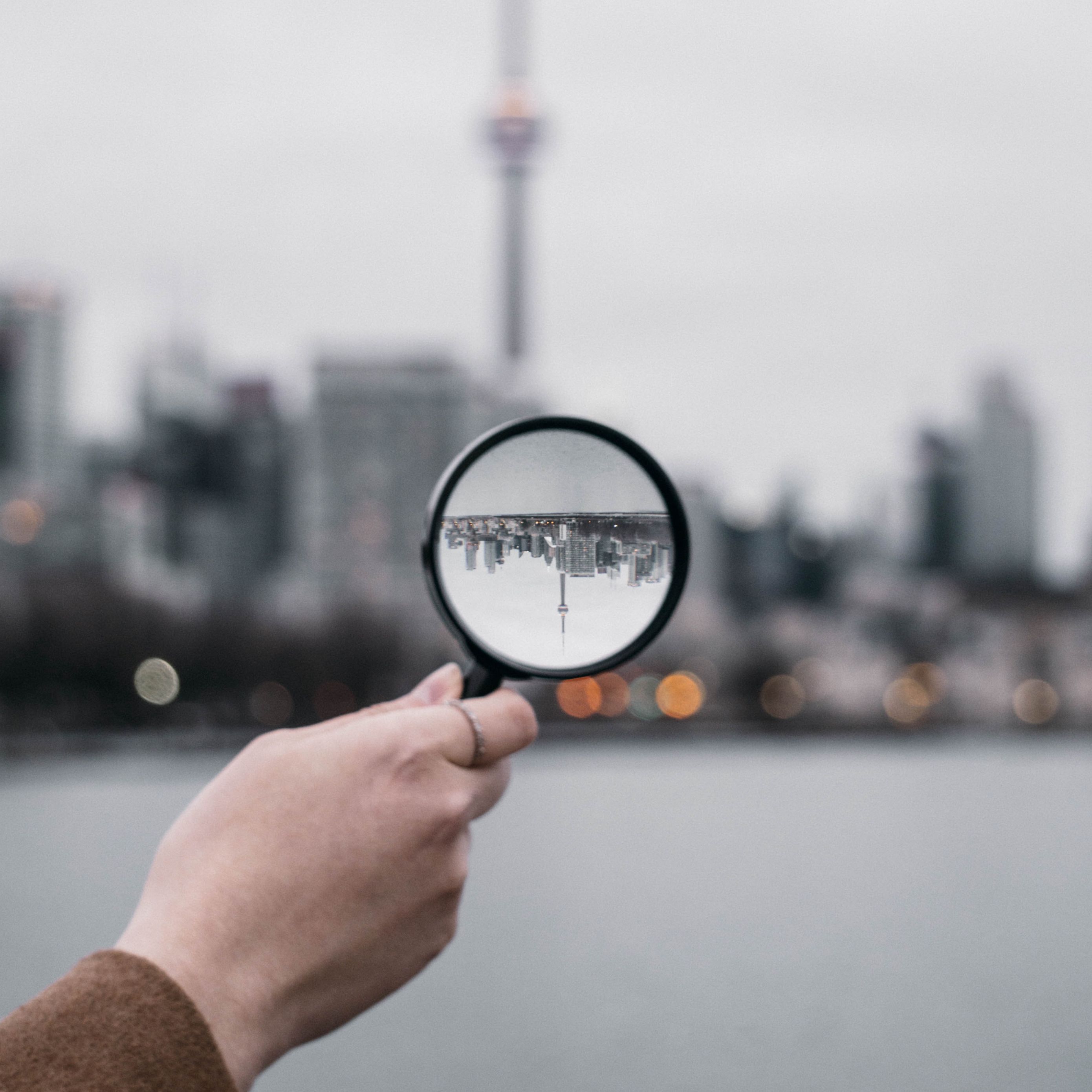 как лупу включить на компе. универсальный прибор для наблюдения за птицами. экранная лупа windows 10. включи лупу. портативный видеоувеличитель optelec compact 7 hd world.