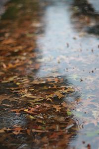 Превью обои лужа, листья, дождь, капли, вода, осень