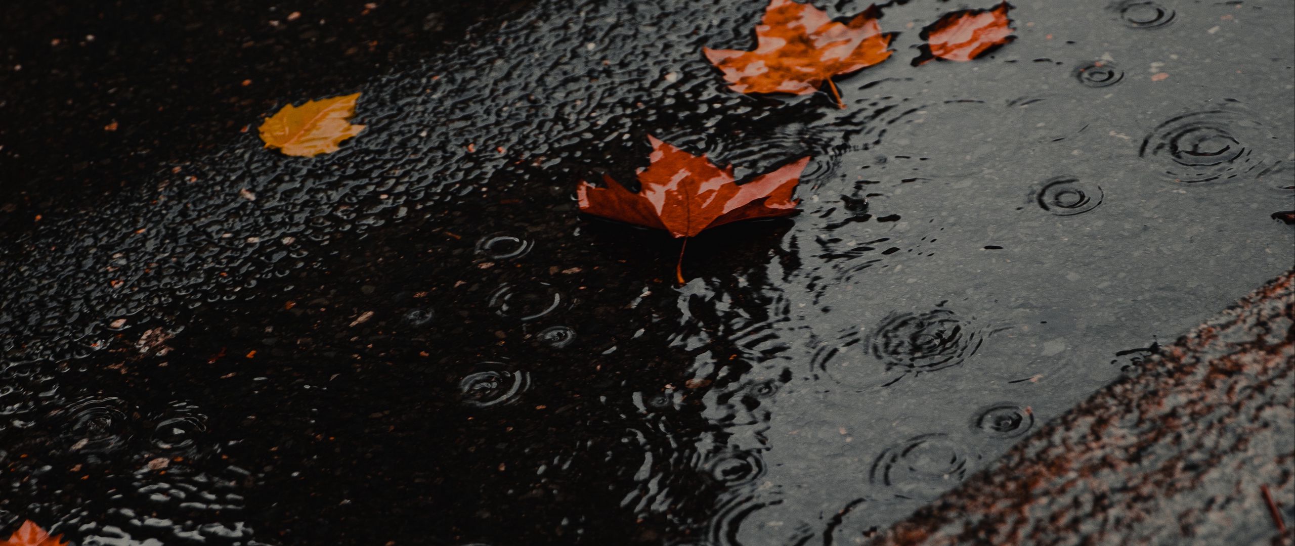 Следы дождя на мокрых. Дождь мокрые ступени. Мокрые от дождя плиты. Декор наружный мокрый дождь. Красивые фото дождя лужи котенок.
