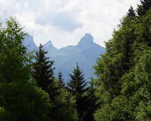 Превью обои лужайка, деревья, гора, трава, природа