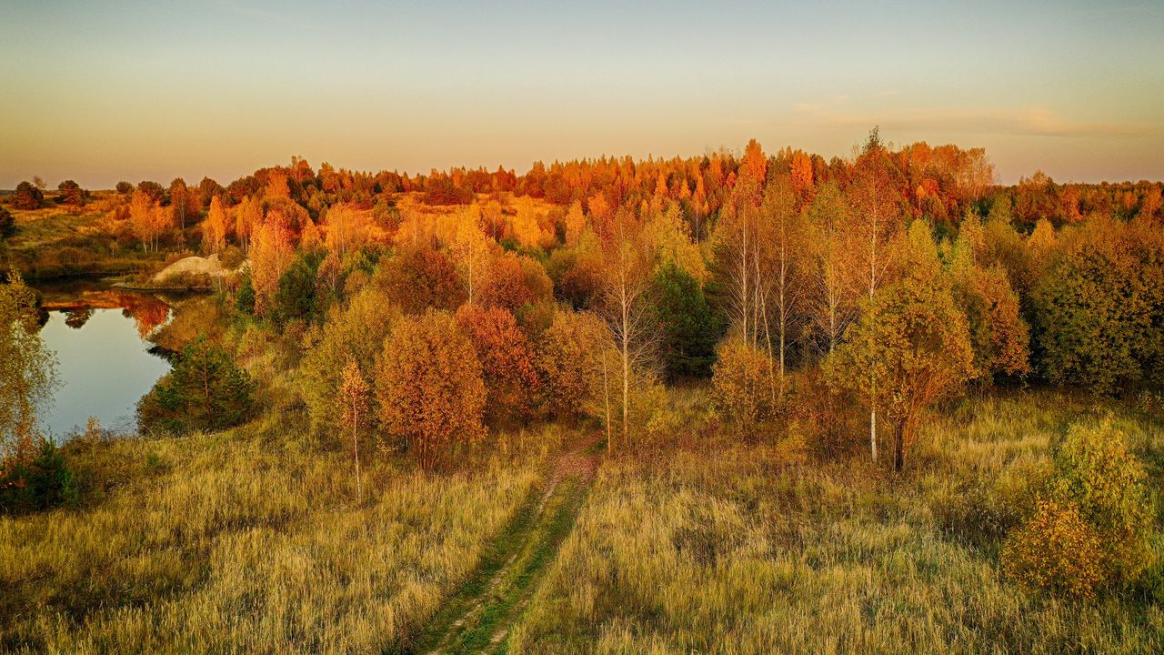 Обои лужайка, деревья, осень, пейзаж, вид сверху