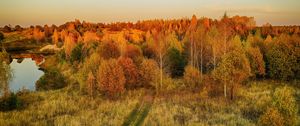 Превью обои лужайка, деревья, осень, пейзаж, вид сверху