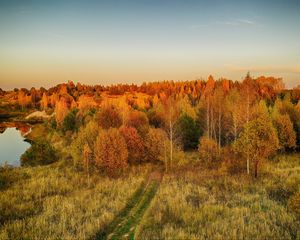 Превью обои лужайка, деревья, осень, пейзаж, вид сверху