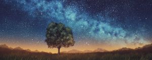 Превью обои лужайка, дерево, ночь, звездное небо, темный