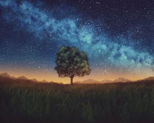 Превью обои лужайка, дерево, ночь, звездное небо, темный