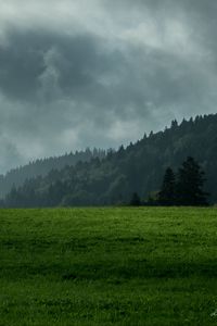 Превью обои лужайка, горы, лес, туман, облака