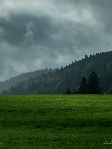 Превью обои лужайка, горы, лес, туман, облака