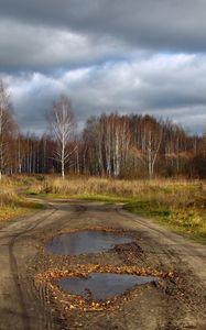 Превью обои лужи, дорога, проселочная, лес, увядание