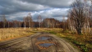 Превью обои лужи, дорога, проселочная, лес, увядание