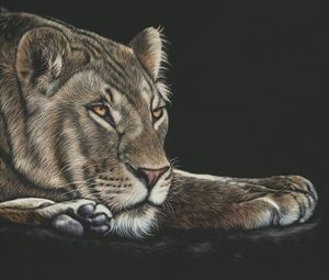 Превью обои львица, большая кошка, взгляд, арт, рисунок