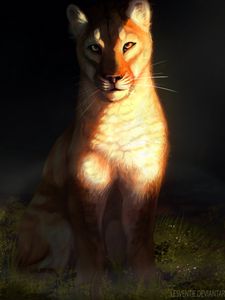 Превью обои львица, большая кошка, взгляд, арт